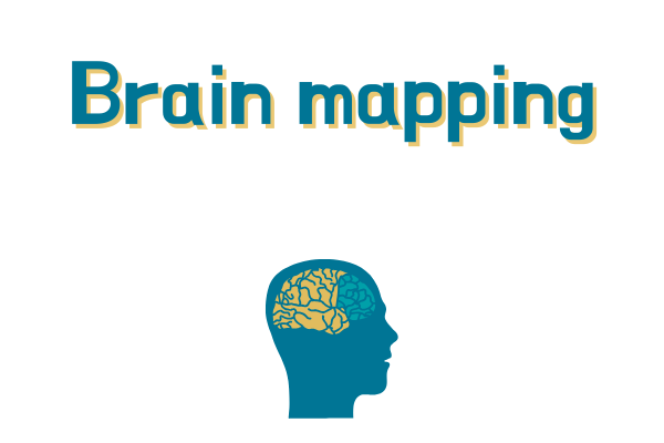 Vizualni prikaz brain mapping (qEEG)